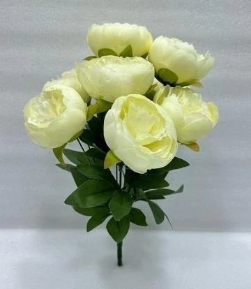 Peony Close Bunch x 8